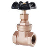 LDR Industries IPS Gate Valve 1 1/4